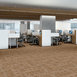 CHAIN-REACTION-J0115-ECHO-00201-room-image